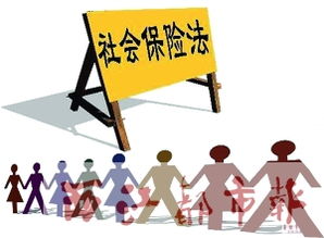 个人社保挂靠全解析 价格、型号与代办服务指南